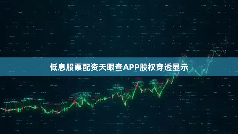 低息股票配资天眼查APP股权穿透显示