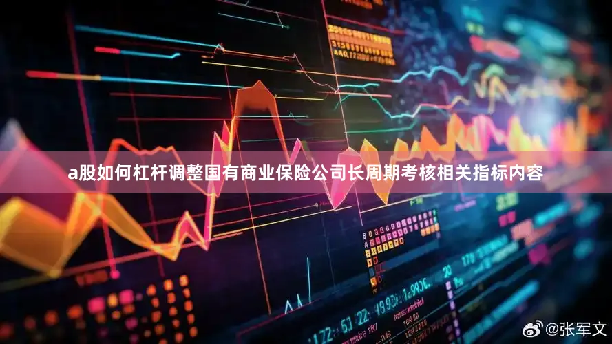a股如何杠杆调整国有商业保险公司长周期考核相关指标内容