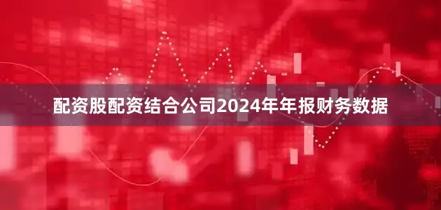 配资股配资结合公司2024年年报财务数据
